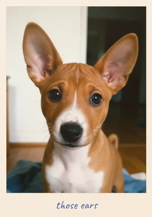 A photo lifted out of the album, filling the screen